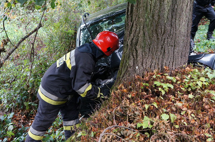 Helenowo: oplem w drzewo zdjęcie nr 61824