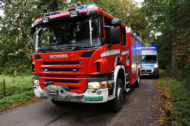 Helenowo: oplem w drzewo zdjęcie nr 61825