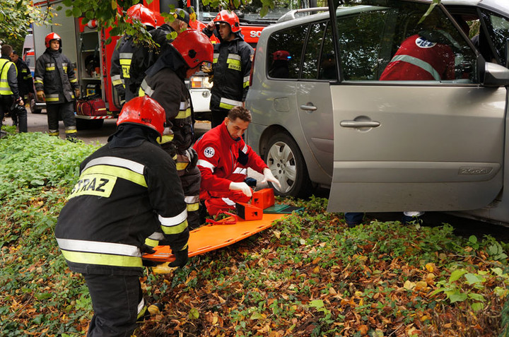 Helenowo: oplem w drzewo zdjęcie nr 61828