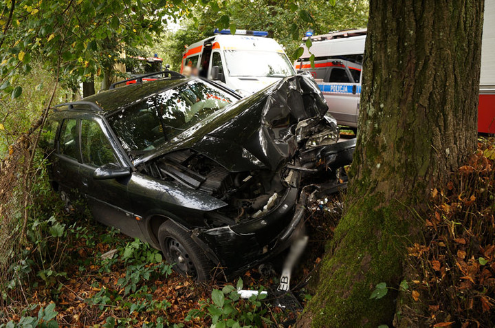 Helenowo: oplem w drzewo zdjęcie nr 61833