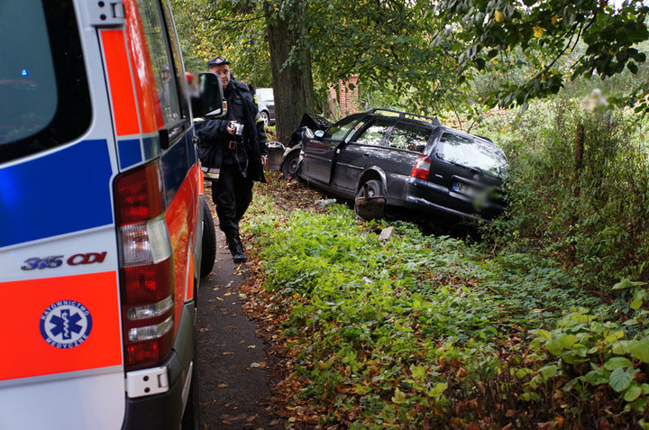 Elbląg Helenowo: oplem w drzewo