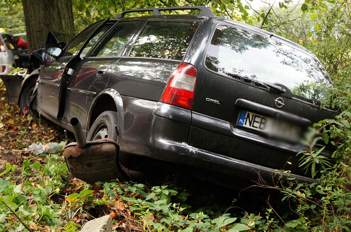 Helenowo: oplem w drzewo zdjęcie nr 61829