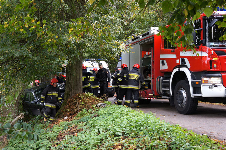 Helenowo: oplem w drzewo zdjęcie nr 61826