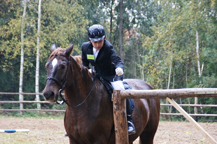 Medalowa jazda konna uczniów SOSW Nr 1 zdjęcie nr 62089