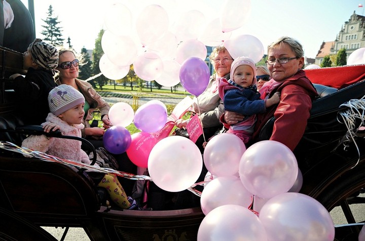 Elbląg się zaróżowił zdjęcie nr 62533