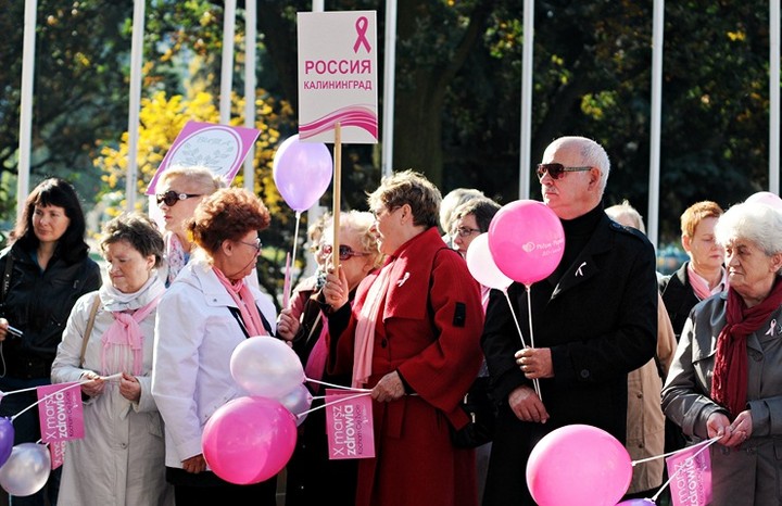 Elbląg się zaróżowił zdjęcie nr 62529