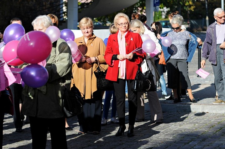 Elbląg się zaróżowił zdjęcie nr 62526