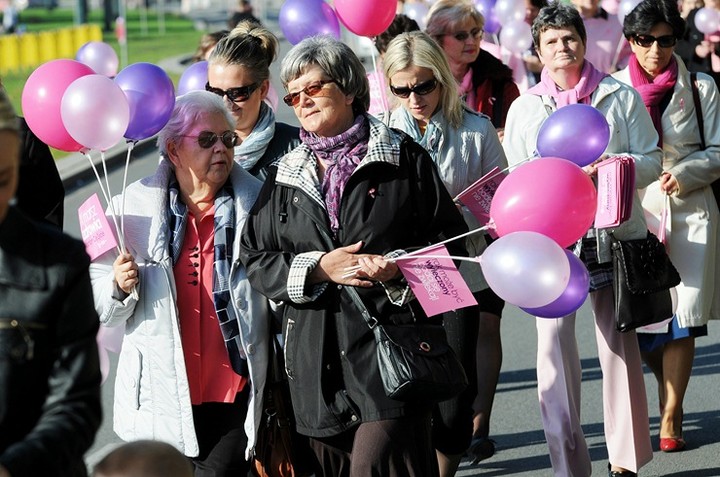 Elbląg się zaróżowił zdjęcie nr 62536