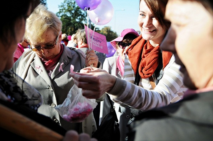 Elbląg się zaróżowił zdjęcie nr 62531