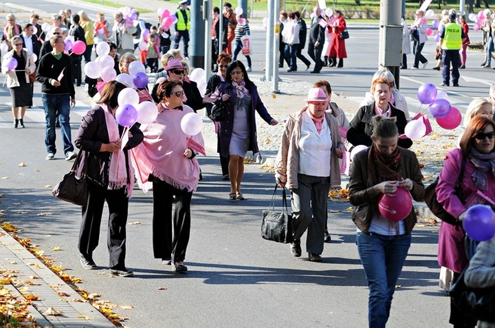 Elbląg się zaróżowił zdjęcie nr 62539