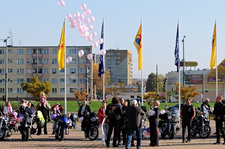 Elbląg się zaróżowił zdjęcie nr 62550