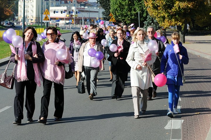 Elbląg się zaróżowił zdjęcie nr 62538