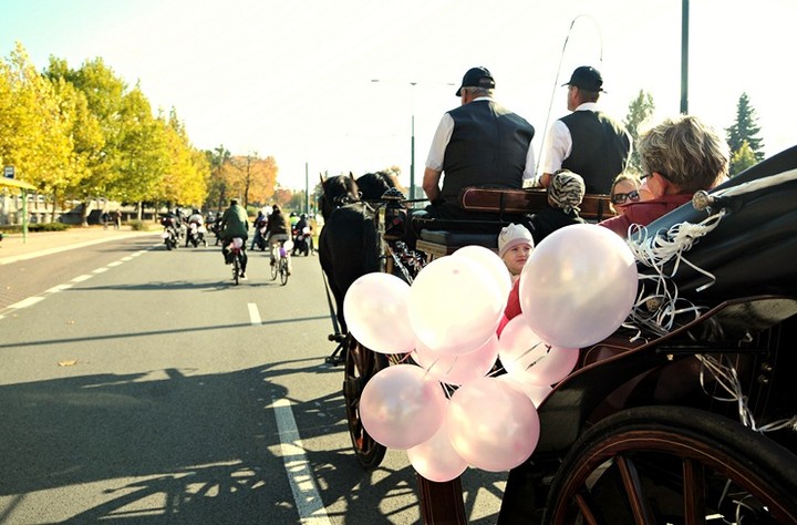 Elbląg się zaróżowił zdjęcie nr 62537