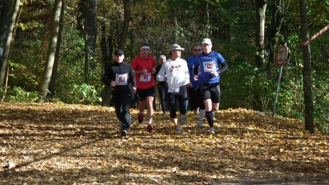 Elbląski Półmaraton Bażant 2012 zdjęcie nr 62901