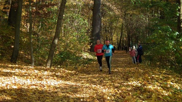 Elbląski Półmaraton Bażant 2012 zdjęcie nr 62902