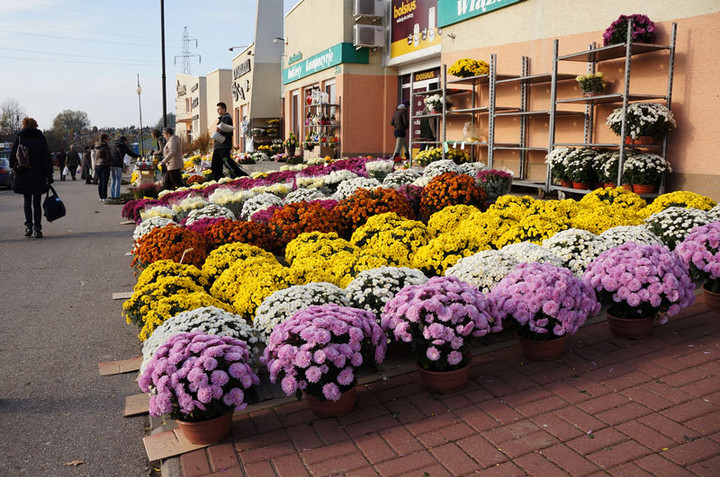 Przed Świętem Zmarłych zdjęcie nr 62957