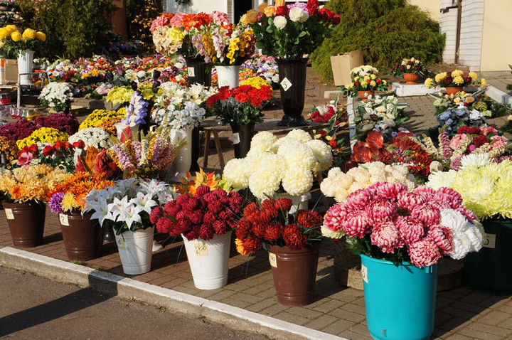 Przed Świętem Zmarłych zdjęcie nr 62948