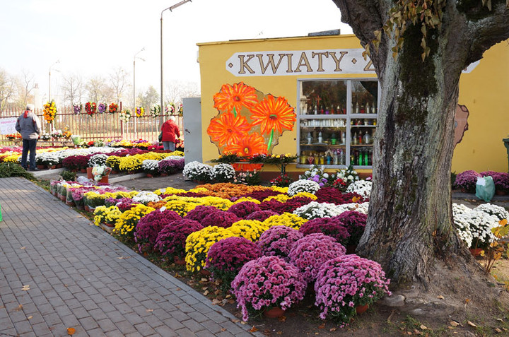 Przed Świętem Zmarłych zdjęcie nr 62939