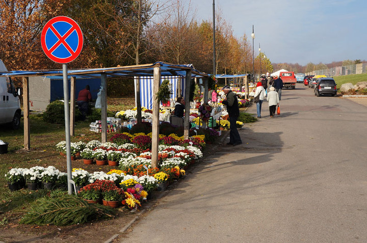 Przed Świętem Zmarłych zdjęcie nr 62960