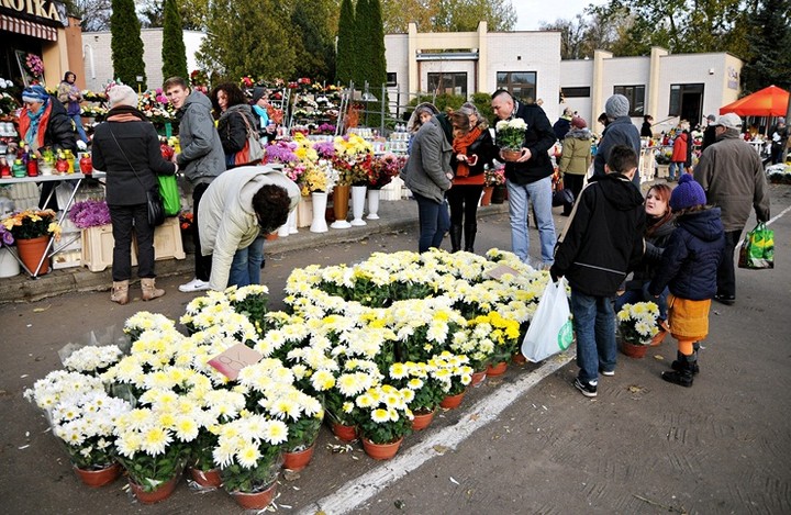 Dzień Wszystkich Świętych zdjęcie nr 63047