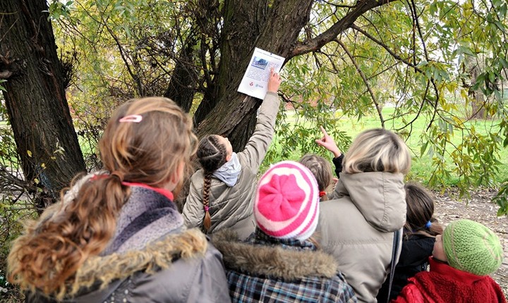 Święto, które uczy i bawi zdjęcie nr 63326