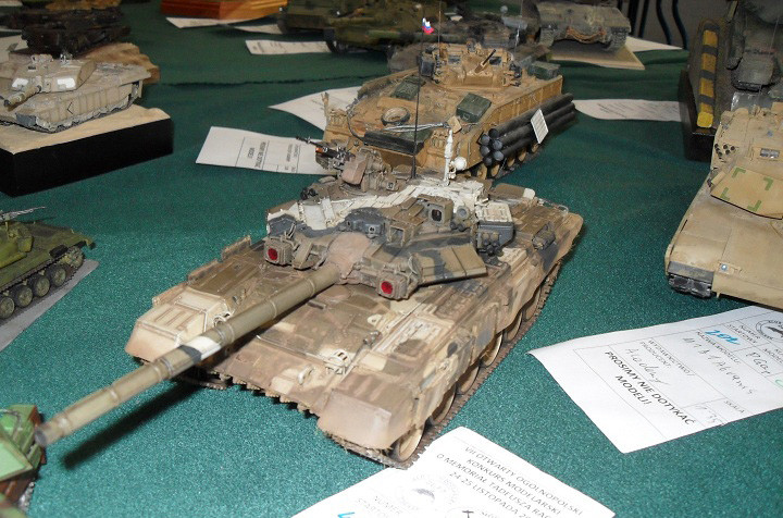 Sukcesy elbląskich modelarzy zdjęcie nr 63768