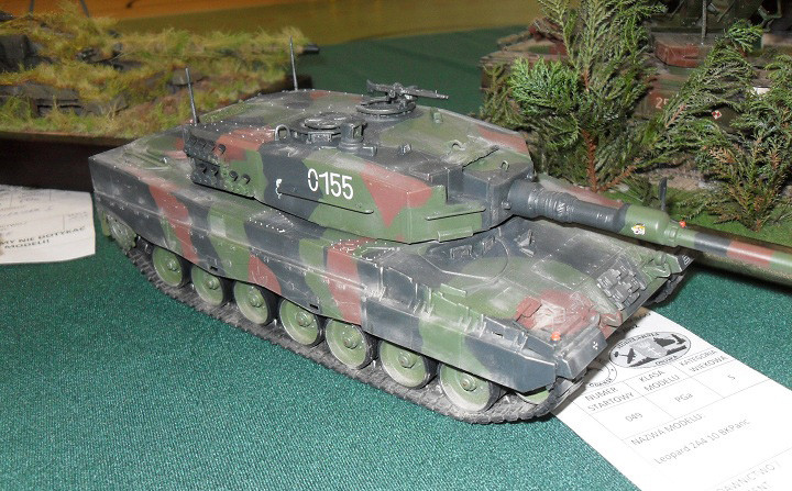 Sukcesy elbląskich modelarzy zdjęcie nr 63776