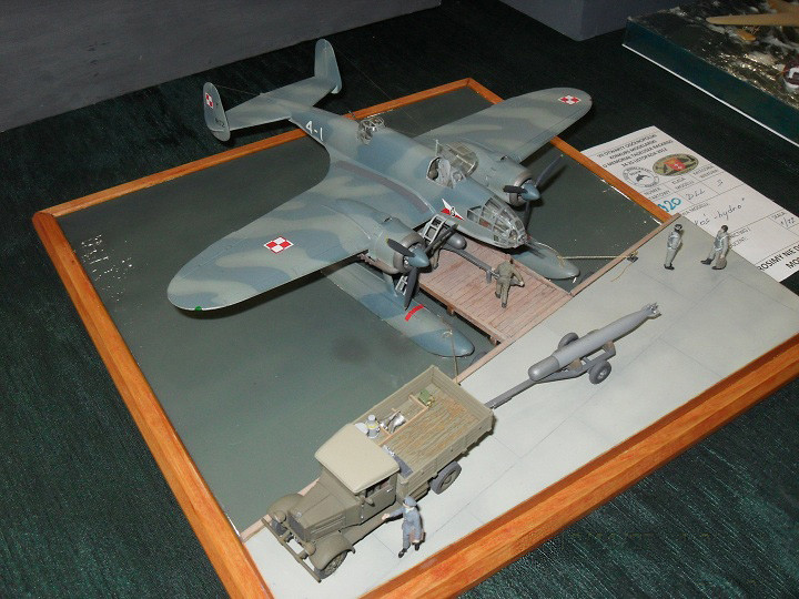 Sukcesy elbląskich modelarzy zdjęcie nr 63780