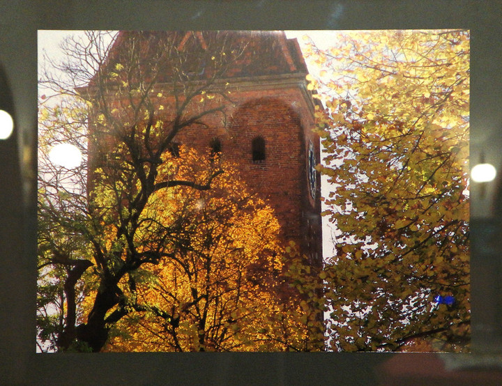 Fotoreportaże do kwadratu zdjęcie nr 64198