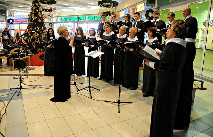 Muzyczna niespodzianka w "Ogrodach" zdjęcie nr 64389