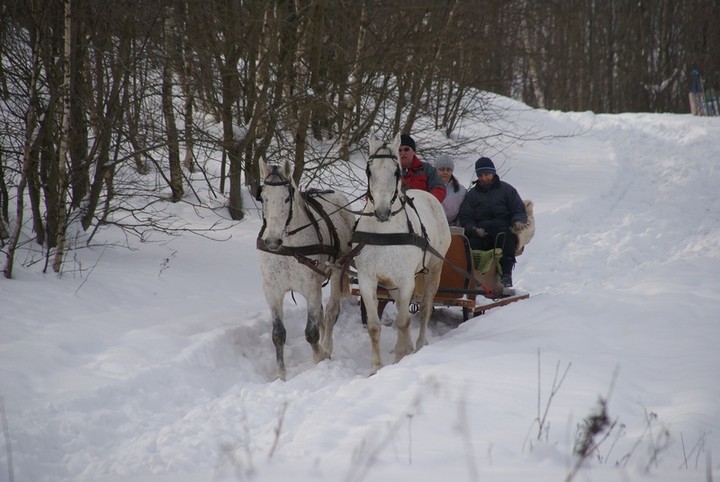 Z kopyta kulig rwie... zdjęcie nr 65369