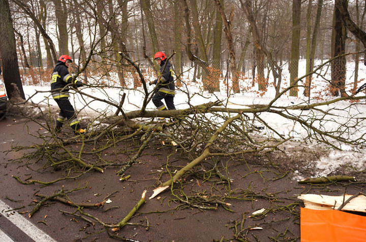 Śmiertelny wypadek na Fromborskiej zdjęcie nr 65775