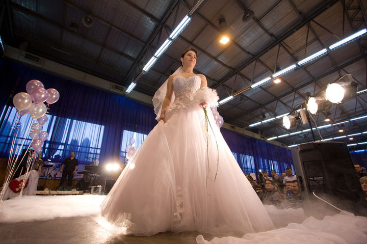 VII Elbląskie Targi Ślubne za nami zdjęcie nr 65866