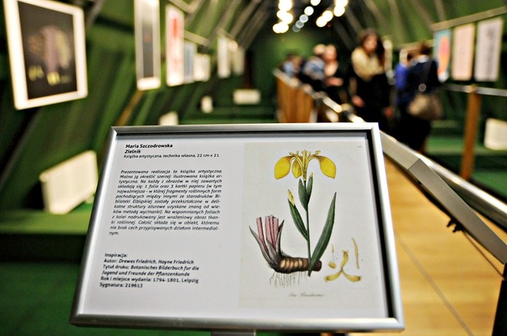 Na pograniczu dwóch światów zdjęcie nr 65957