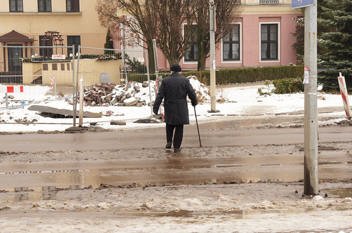 Nie ma róży bez kolców zdjęcie nr 65965