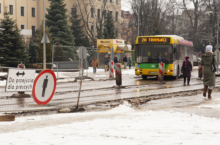 Nie ma róży bez kolców zdjęcie nr 65967