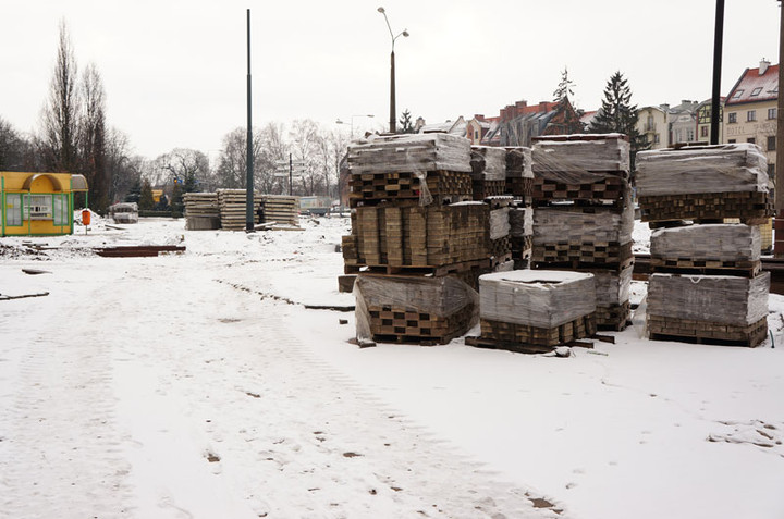 Nie ma róży bez kolców zdjęcie nr 65973