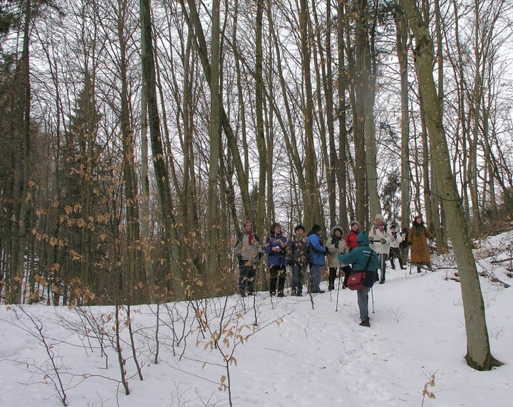 III zimowy spacer po Wysoczyżnie Elbląskiej z aparatem fotograficznym zdjęcie nr 66790