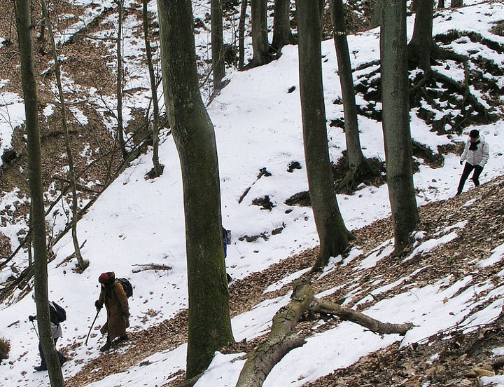 III zimowy spacer po Wysoczyżnie Elbląskiej z aparatem fotograficznym zdjęcie nr 66786