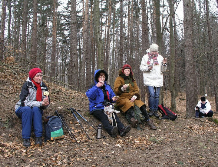 III zimowy spacer po Wysoczyżnie Elbląskiej z aparatem fotograficznym zdjęcie nr 66792