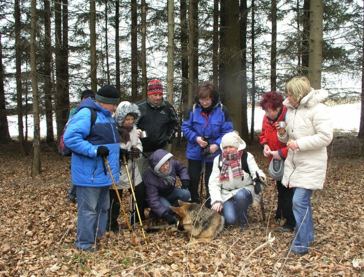 III zimowy spacer po Wysoczyżnie Elbląskiej z aparatem fotograficznym zdjęcie nr 66794