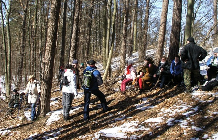 Niedzielna wędrówka po Wysoczyźnie zdjęcie nr 67158