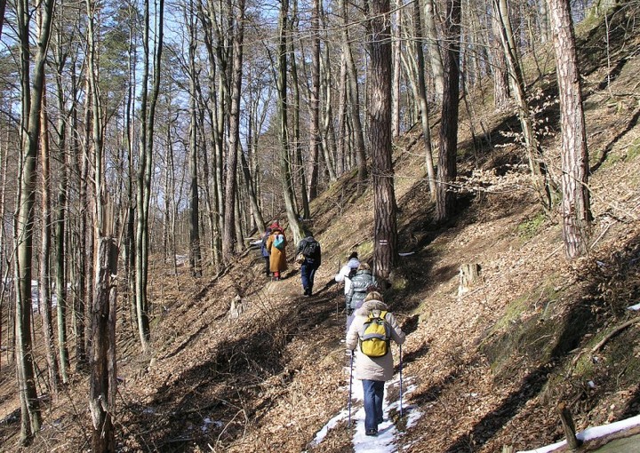 Niedzielna wędrówka po Wysoczyźnie zdjęcie nr 67136