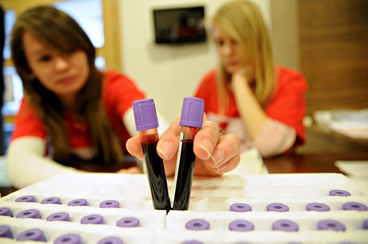 Dzień dawcy szpiku dla Jagódki i innych zdjęcie nr 67391