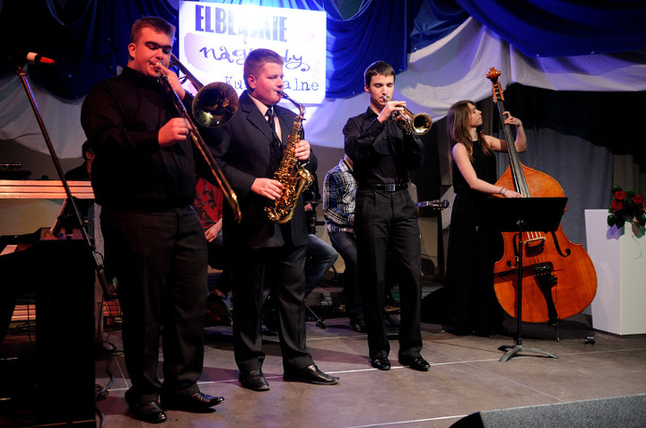 Elbląskie Nagrody Kulturalne 2013 zdjęcie nr 67771
