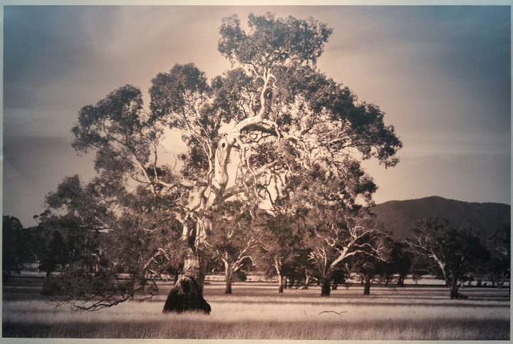 Wystawa fotografii Aleksandry Bielskiej i Piotra Siemienasa zdjęcie nr 68010