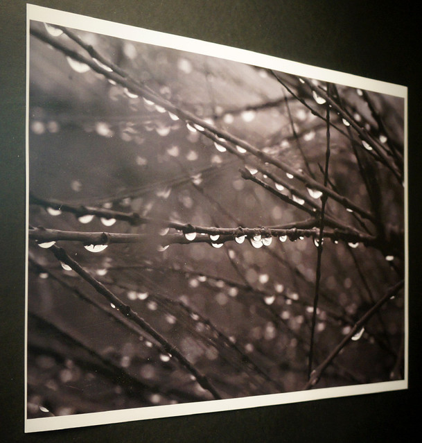 Wystawa fotografii Aleksandry Bielskiej i Piotra Siemienasa zdjęcie nr 68005