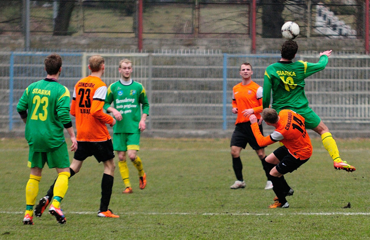 Concordia przegrała z Siarką zdjęcie nr 68214