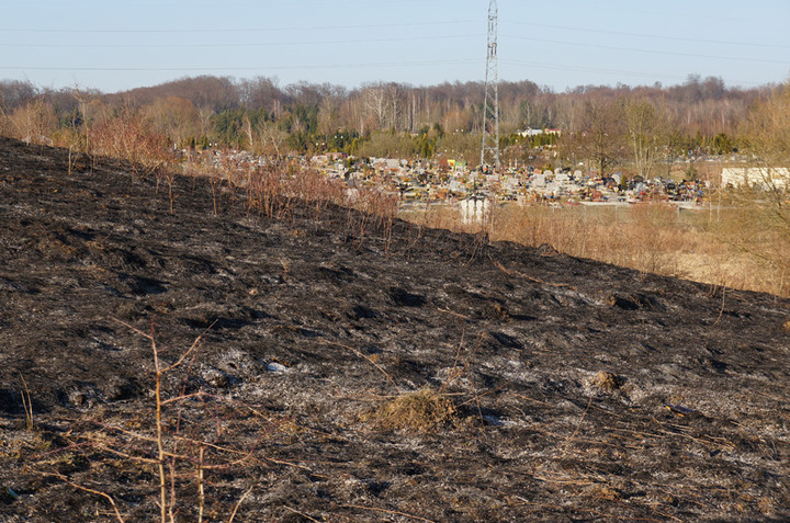 Płoną trawy! zdjęcie nr 68322