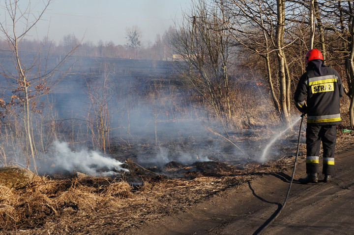 Płoną trawy! zdjęcie nr 68320